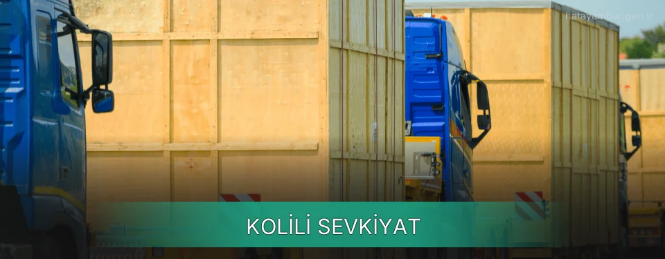 Hatay Kolili Sevkiyat Ambar Firmaları