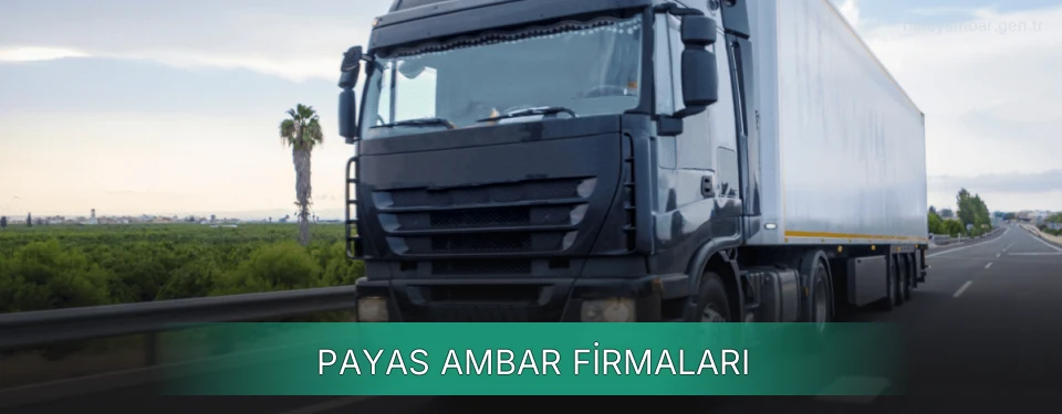 Payas Ambar Taşımacılık