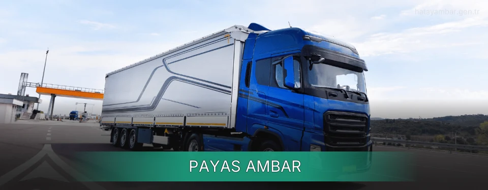Payas Ambar