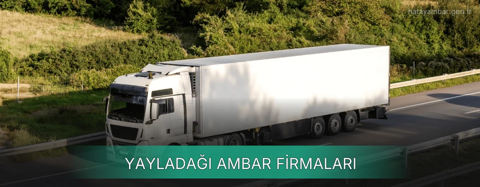 Yayladağı Ambar Taşımacılık